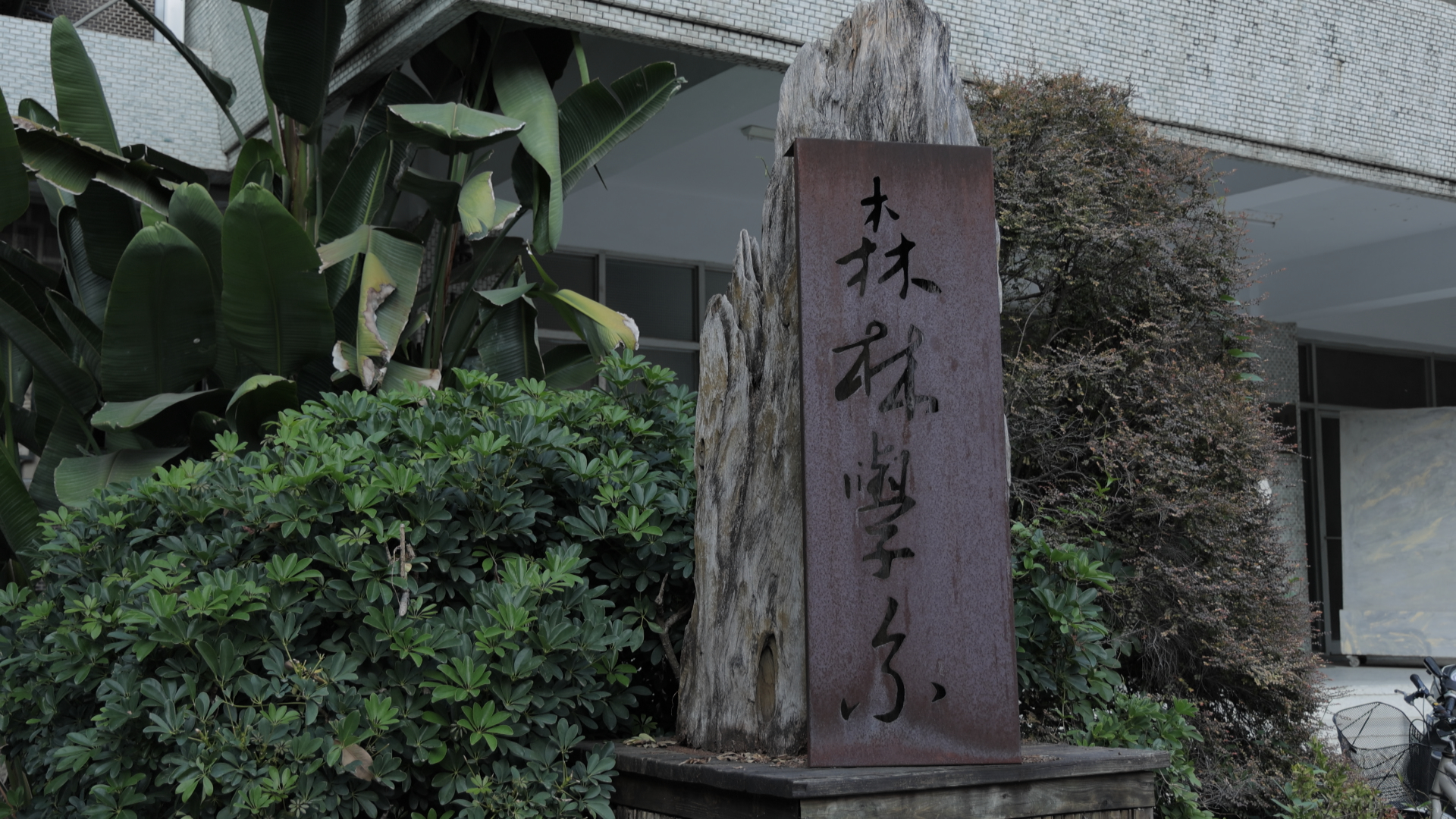 綠領搶才潮月均徵3萬人!森林系成企業即戰力 助攻碳盤查、永續揭露