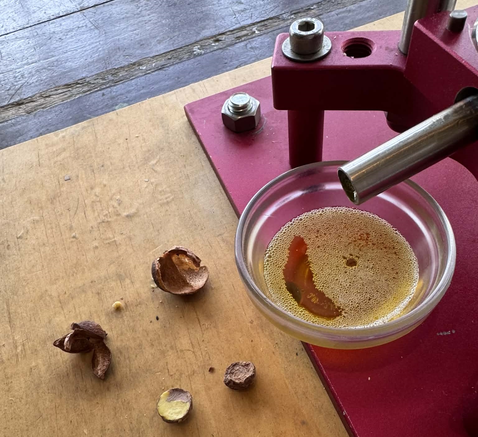 新竹走走 尋訪峨眉 琥珀色苦茶油香