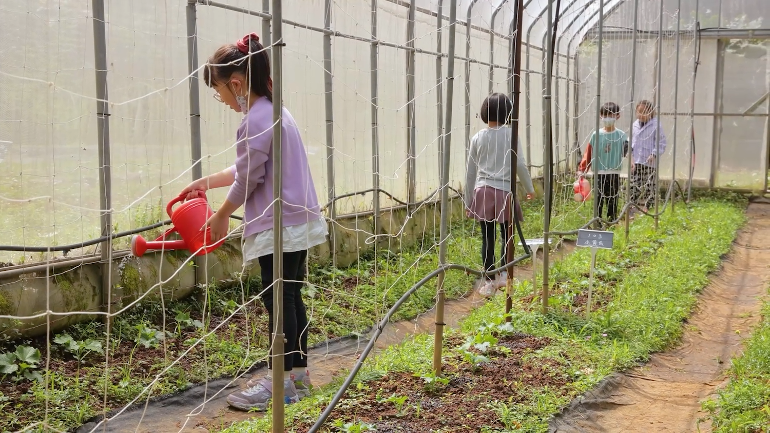 校園有開心農場？淡水新市國小的踩土、種菜的生態課堂