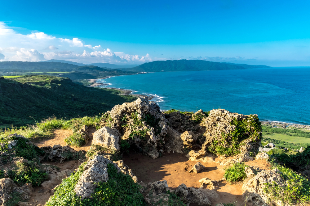 梅花鹿唯一復育地！140公頃的毛柿林、仲夏夜限定棋盤腳花...墾丁社頂成為生態旅遊模範