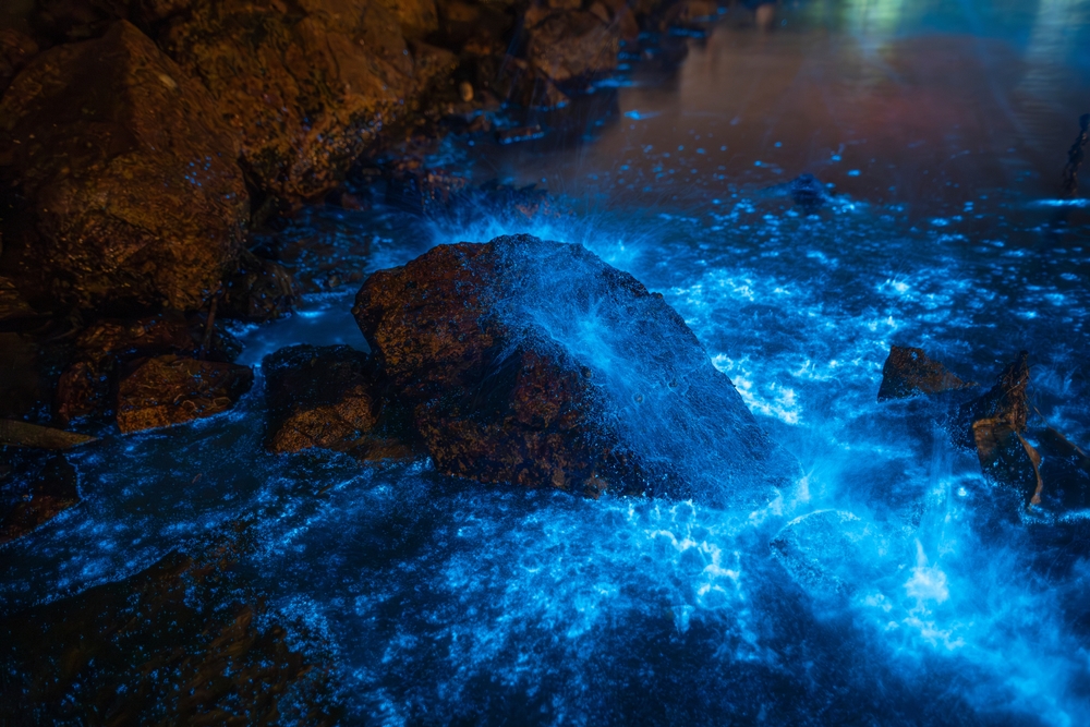 散步馬祖地中海》追藍眼淚、賞燕鷗、餵梅花鹿⋯漫遊馬祖獨特的生態人文風景