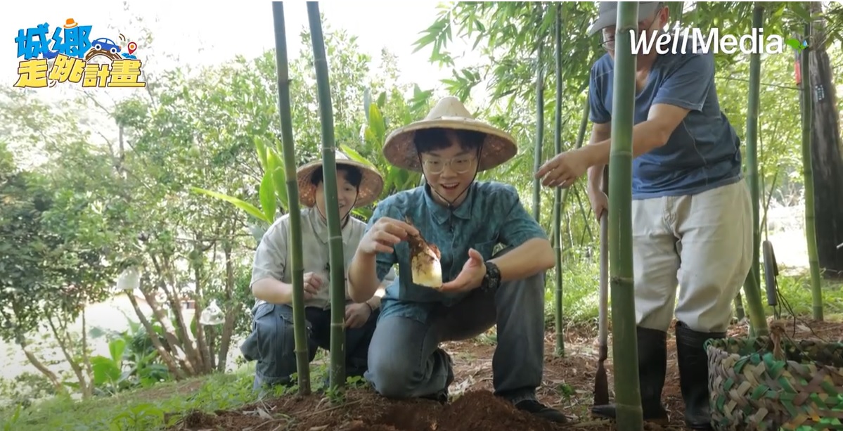 15分鐘走進北投秘境:嚐節氣美食與冠軍火山咖啡香