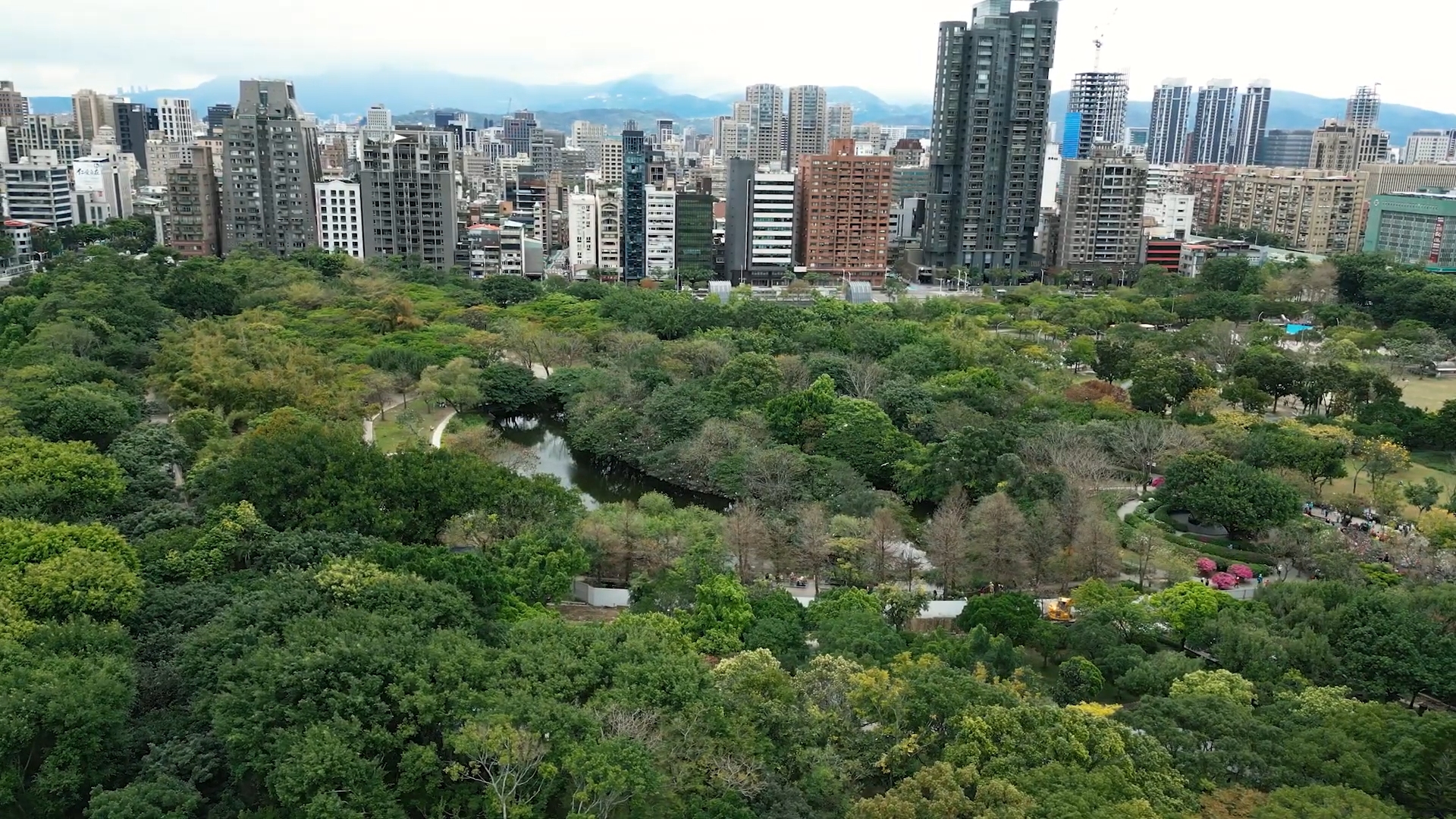 台北市中心有一座近乎二十六公頃的綠洲——大安森林公園。(攝影:鍾至瑋)