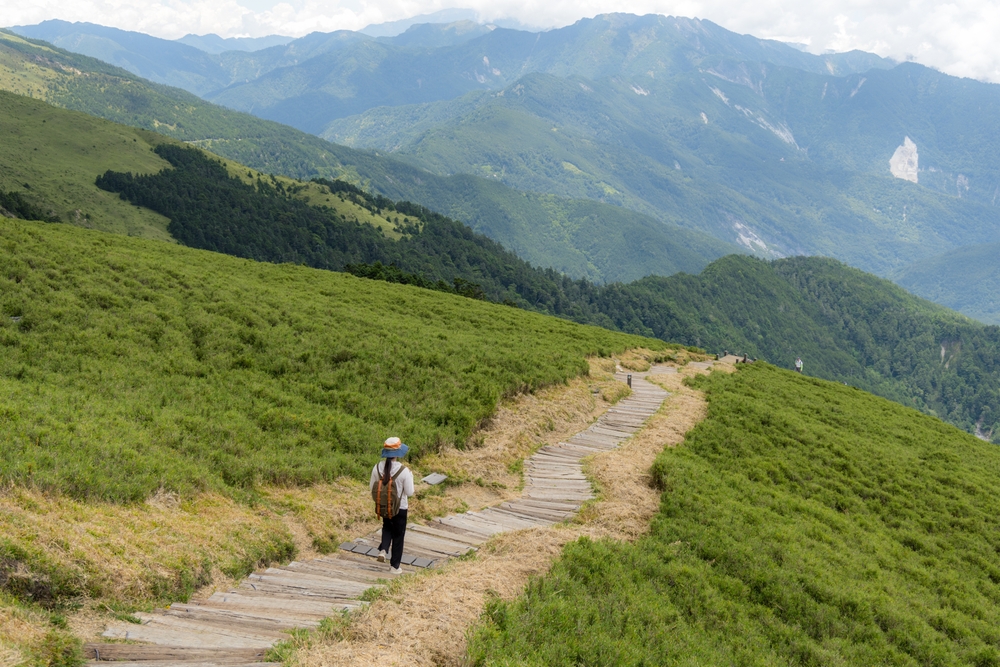 簡單的步道，百岳般的享受！半天能完登的3條高海拔健行路線
