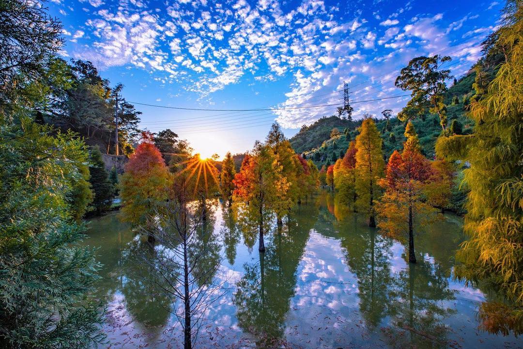 獨木舟秘境旅遊 划進秋冬落羽松新體驗