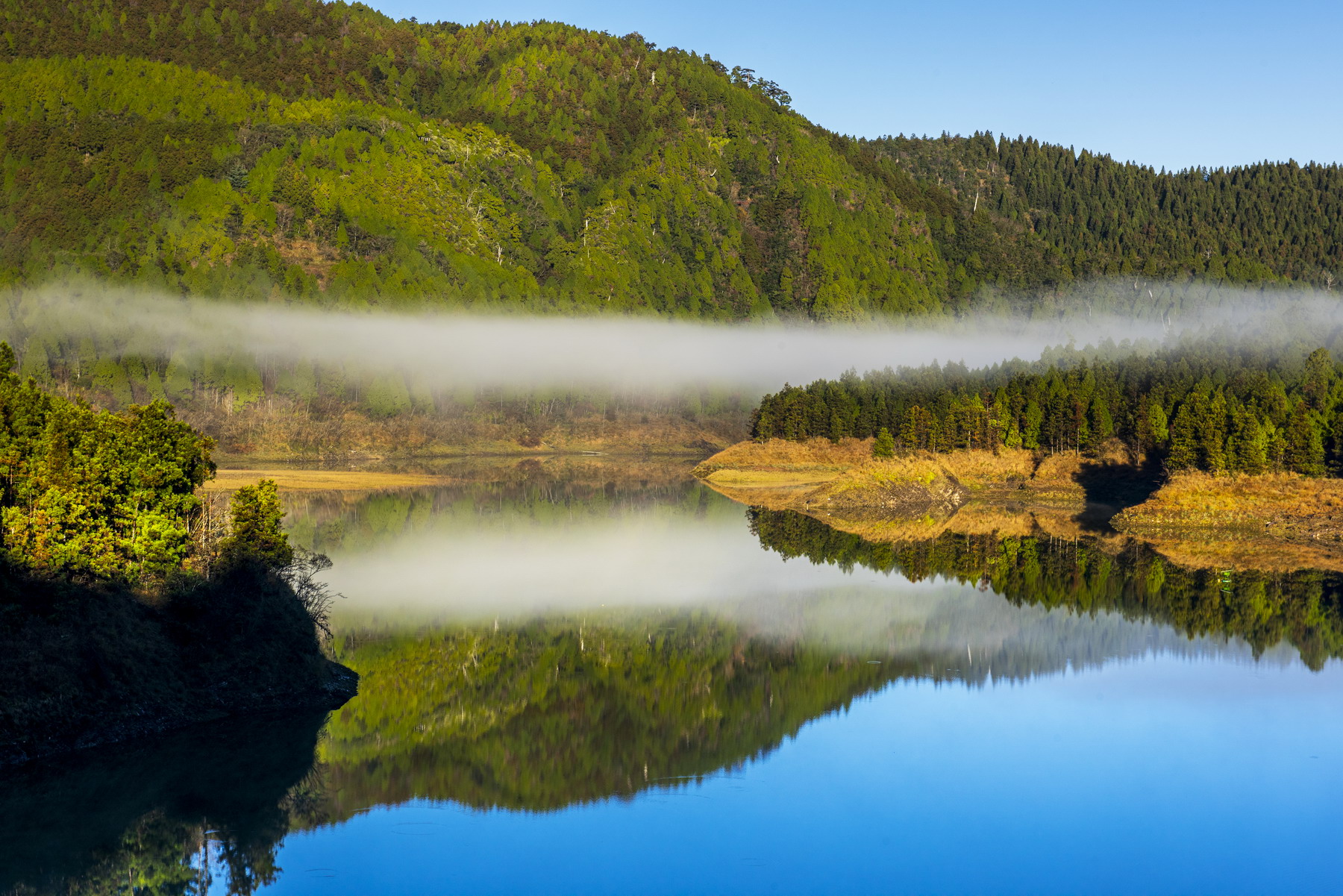 這裡是台灣最寂靜的地方:翠峰湖獲國際「寧靜」認證、艾美獎錄音師推「聲景」教育