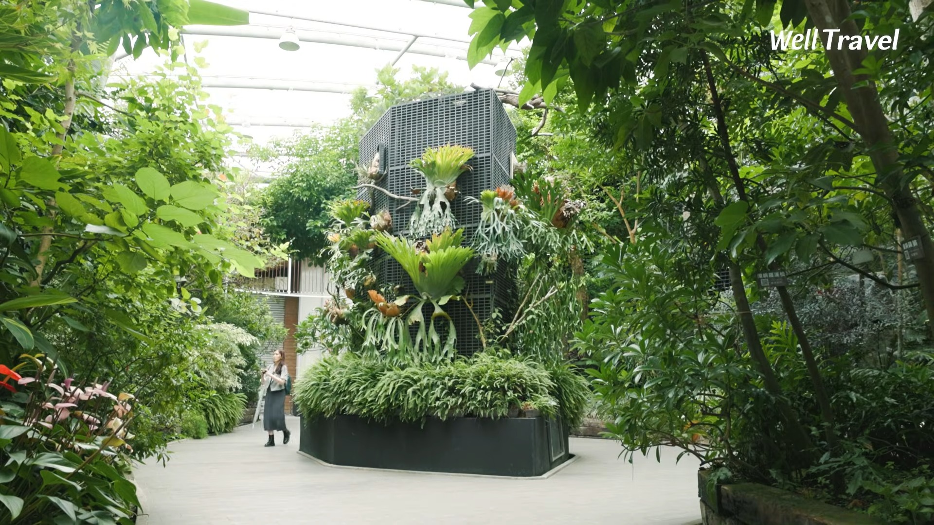 臺北圓山一日散步路線！花博植物園、林安泰古厝、北美館漫遊