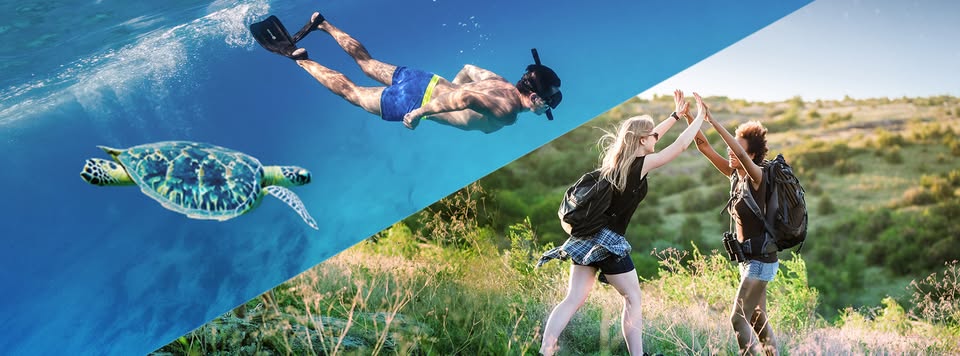 WellMedia官方編輯