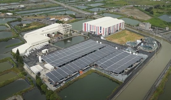 全球最大AI臺灣鯛養殖 年產9千公噸 翻轉老漁村