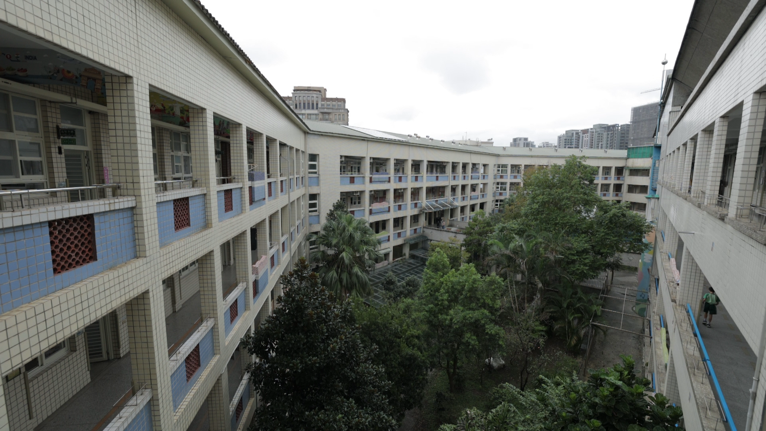 生態學校系列報導之二：藍鵲、五色鳥現蹤課堂！桃市唯一丘陵小學打造鳥兒庇護所