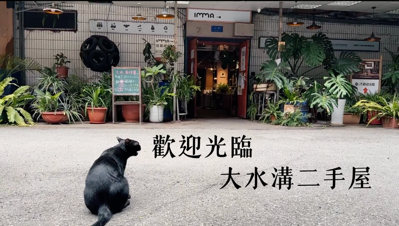 《歡迎光臨，大水溝二手屋》位於台北萬華的永續桃花源