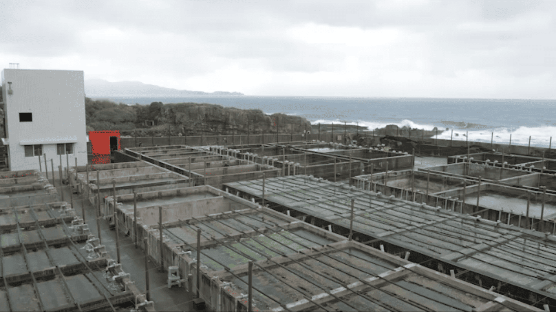 養殖替代採捕：走進海洋資源復育的現場