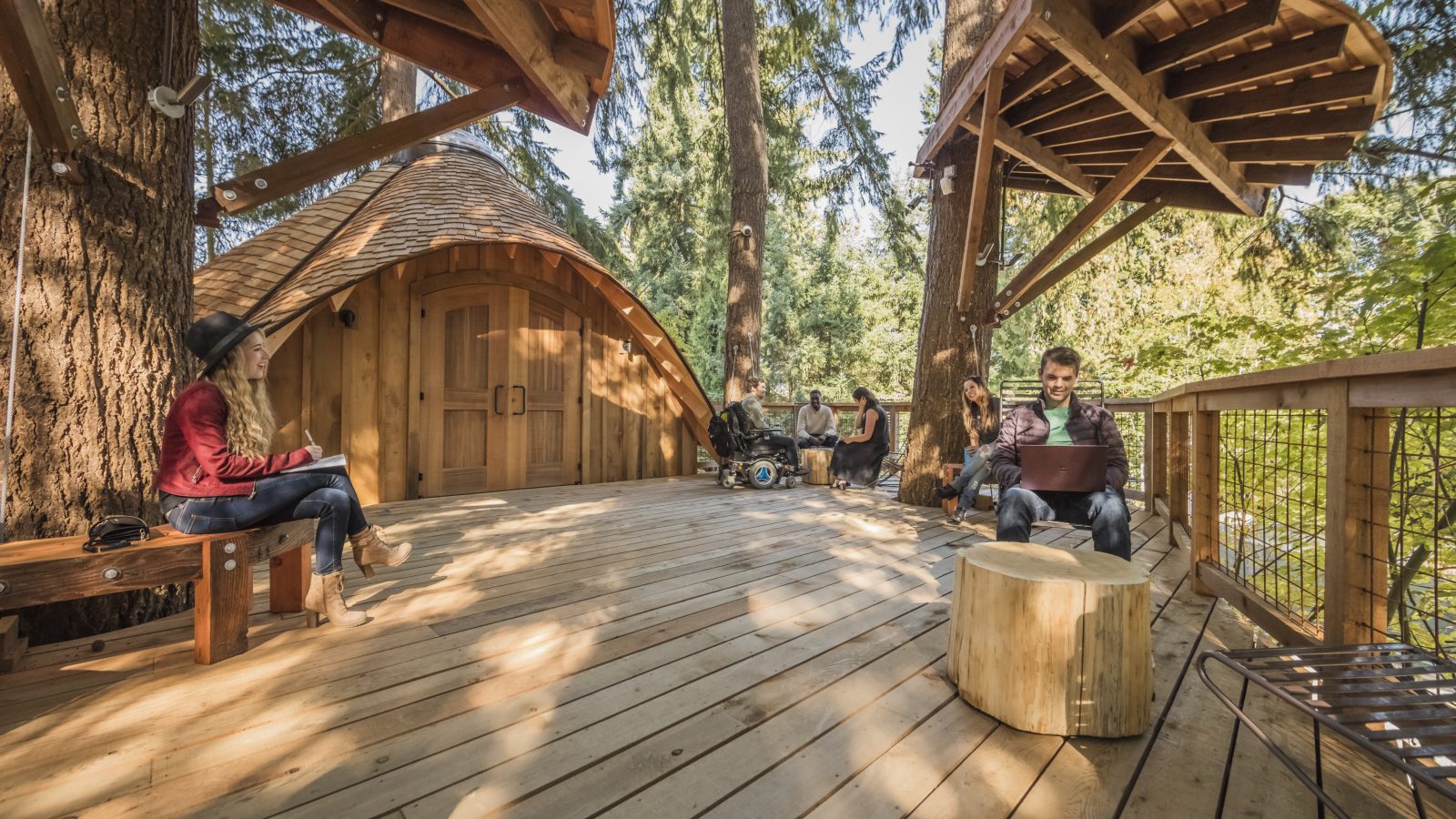 在樹屋內開會？Microsoft、Google 結合自然與科技打造「軟性辦公室」，讓員工心情更好、腦力全開