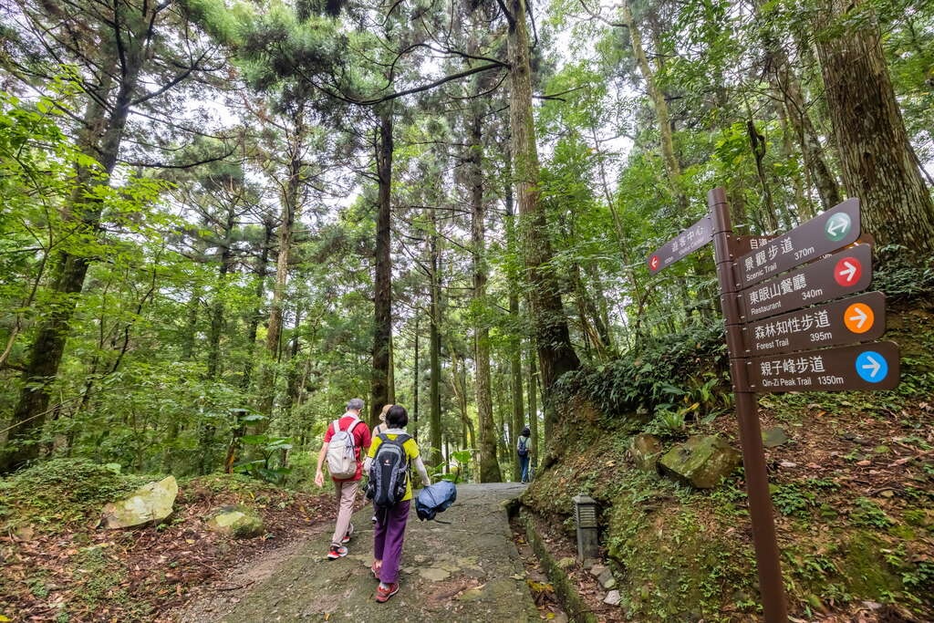 拒絕 Google Map 導航！東眼山推廣「定向運動」　在 1,212 公尺主峰挑戰智力與體能