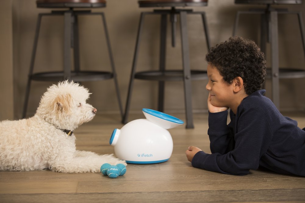 AI 解析貓咪便便、IoT 項圈幫狗狗交朋友,用科技寵毛孩商機無極限