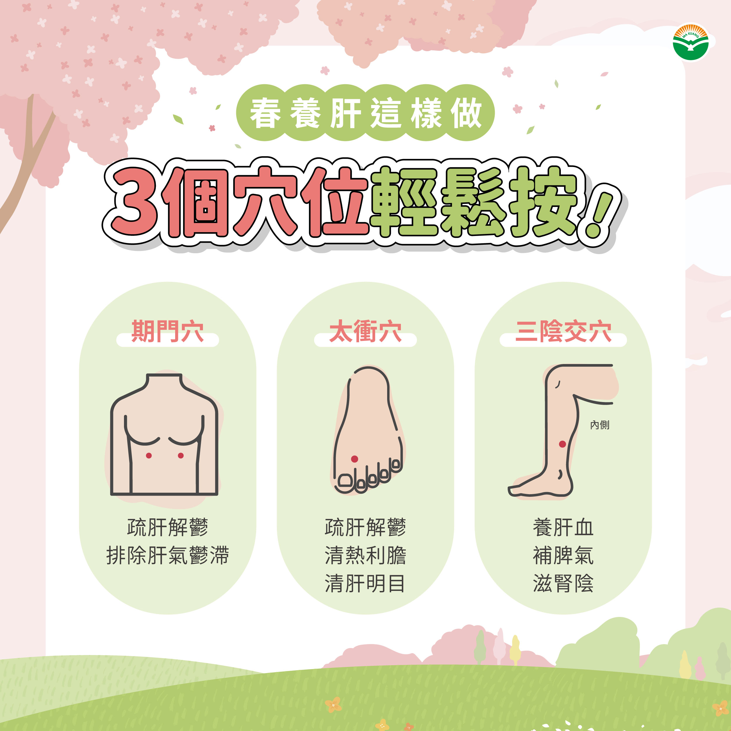 為何春天要養肝？中醫教你順應時令，告別肝火與疲勞！