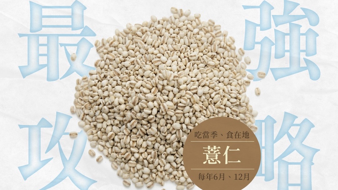 全榖雜糧界的「養生珍珠」：薏仁不只四神湯配角，功效、禁忌與在地吃法全攻略！