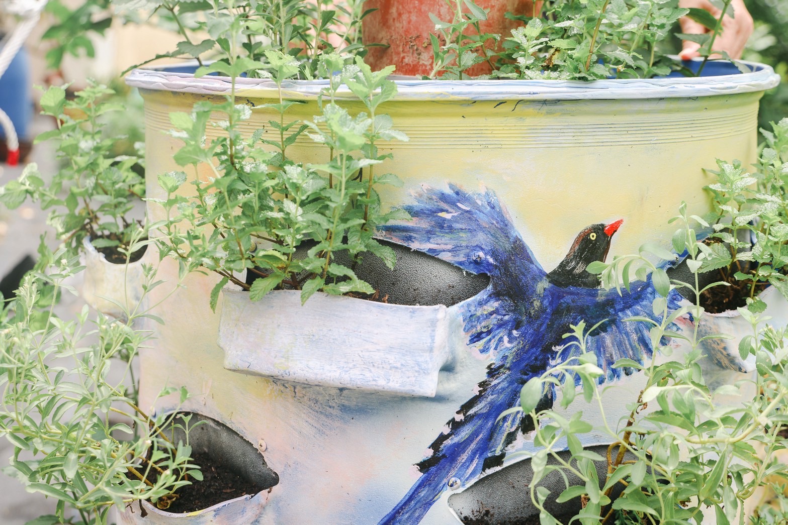 綠寓-生物共生宅永續行動