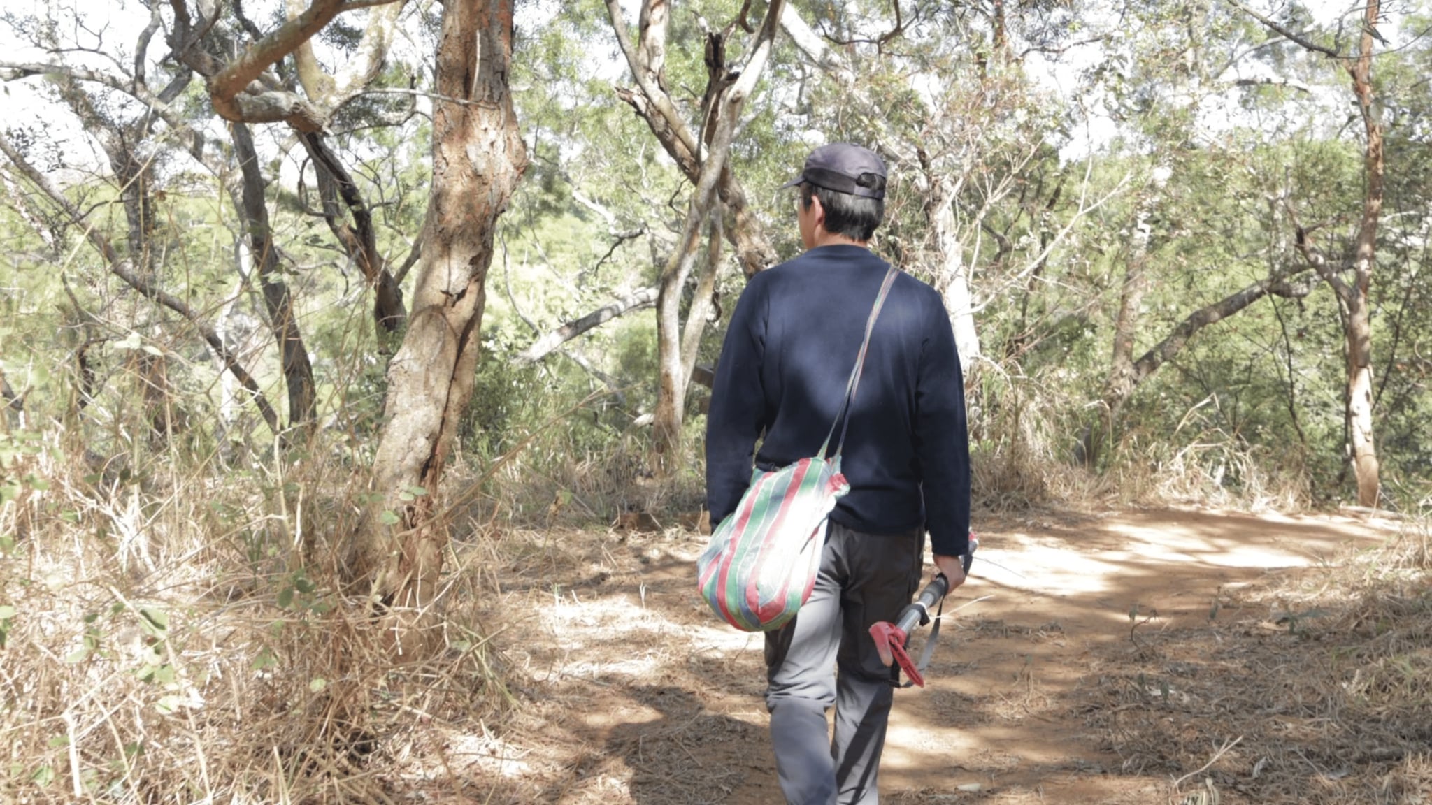 極端氣候敲響野火警鐘!破碎化森林的修復考驗