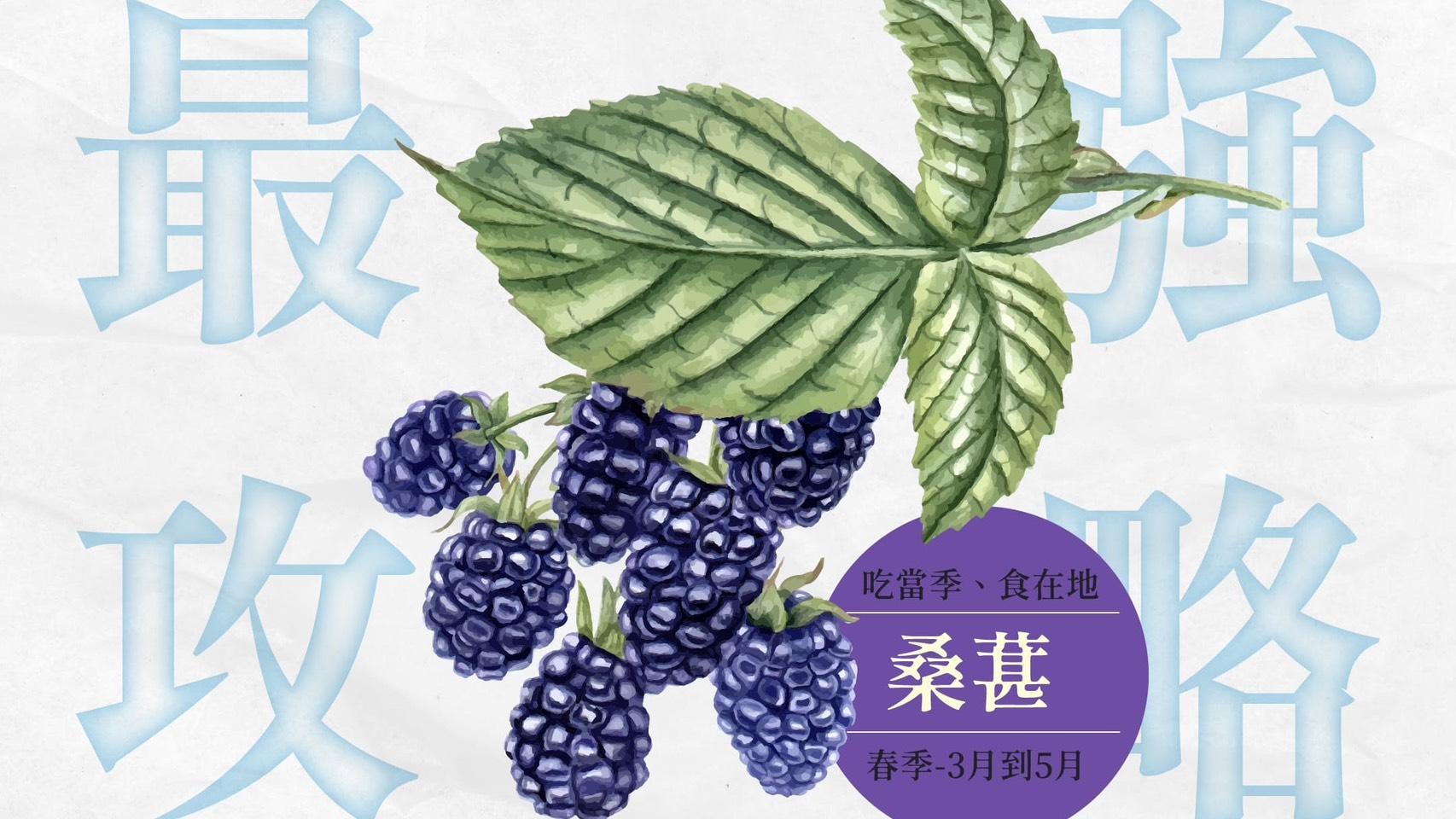 果實界的「天然濾鏡」：從民間聖果到抗老紅潤神隊友，桑葚最強吃法全攻略！