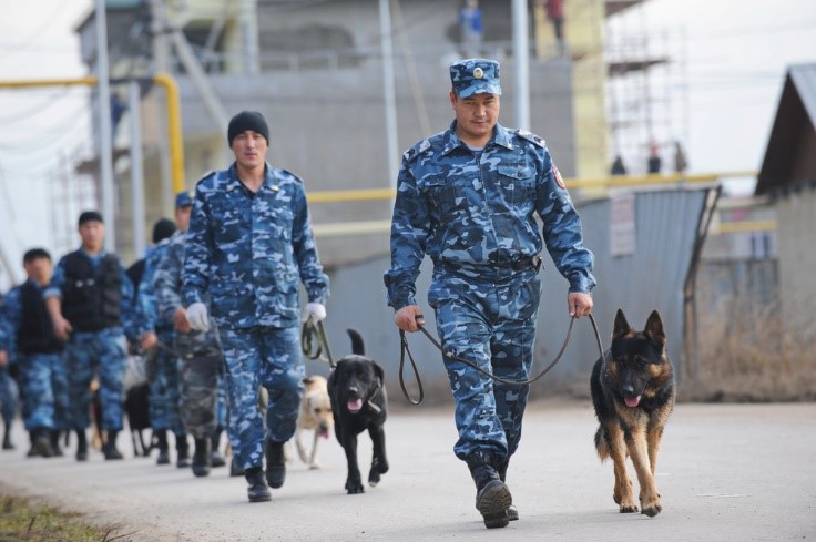 可辨3000 種以上味道、辨識上百種違禁品 揭密奉獻黃金歲月的護國神犬 - 檢疫犬