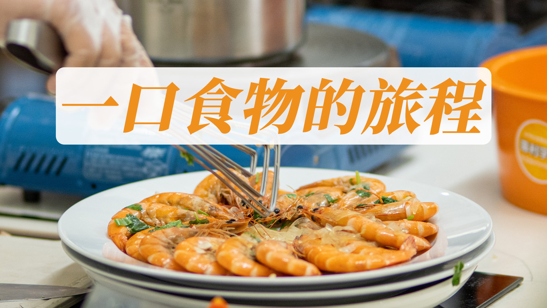 一口食物的旅程