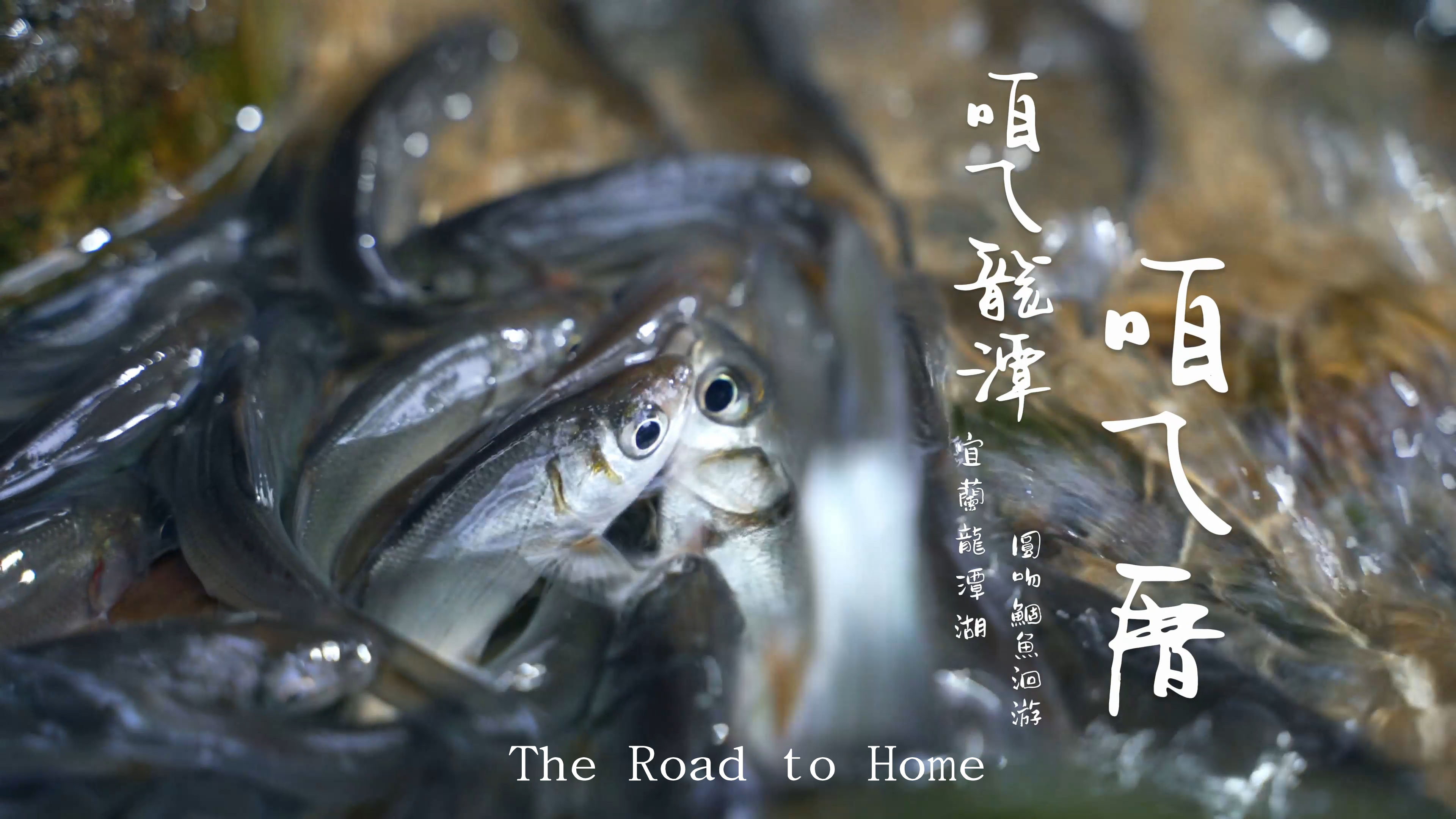 咱ㄟ龍潭 咱ㄟ厝