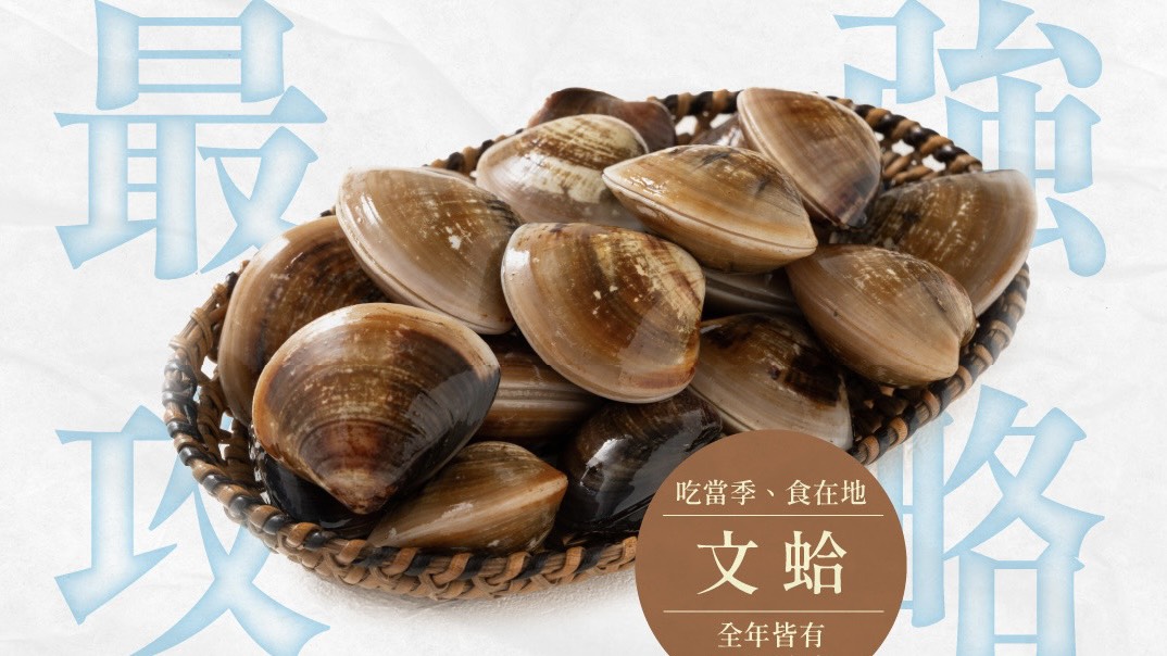 海鮮界的「補鐵小金礦」：文蛤鐵比牛排多，低熱量高蛋白又鮮甜！