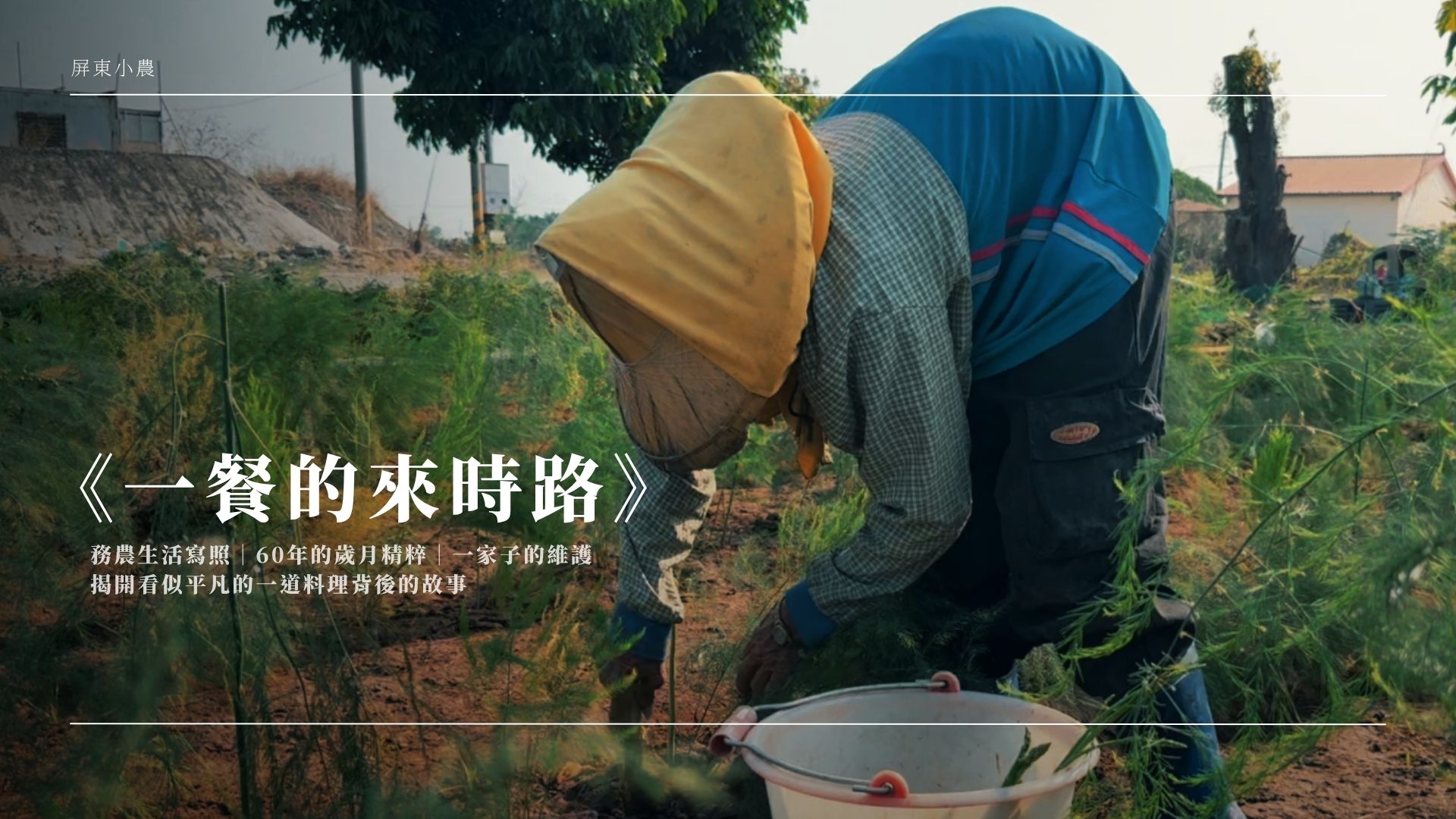 餐桌上的綠色足跡｜一餐的來時路