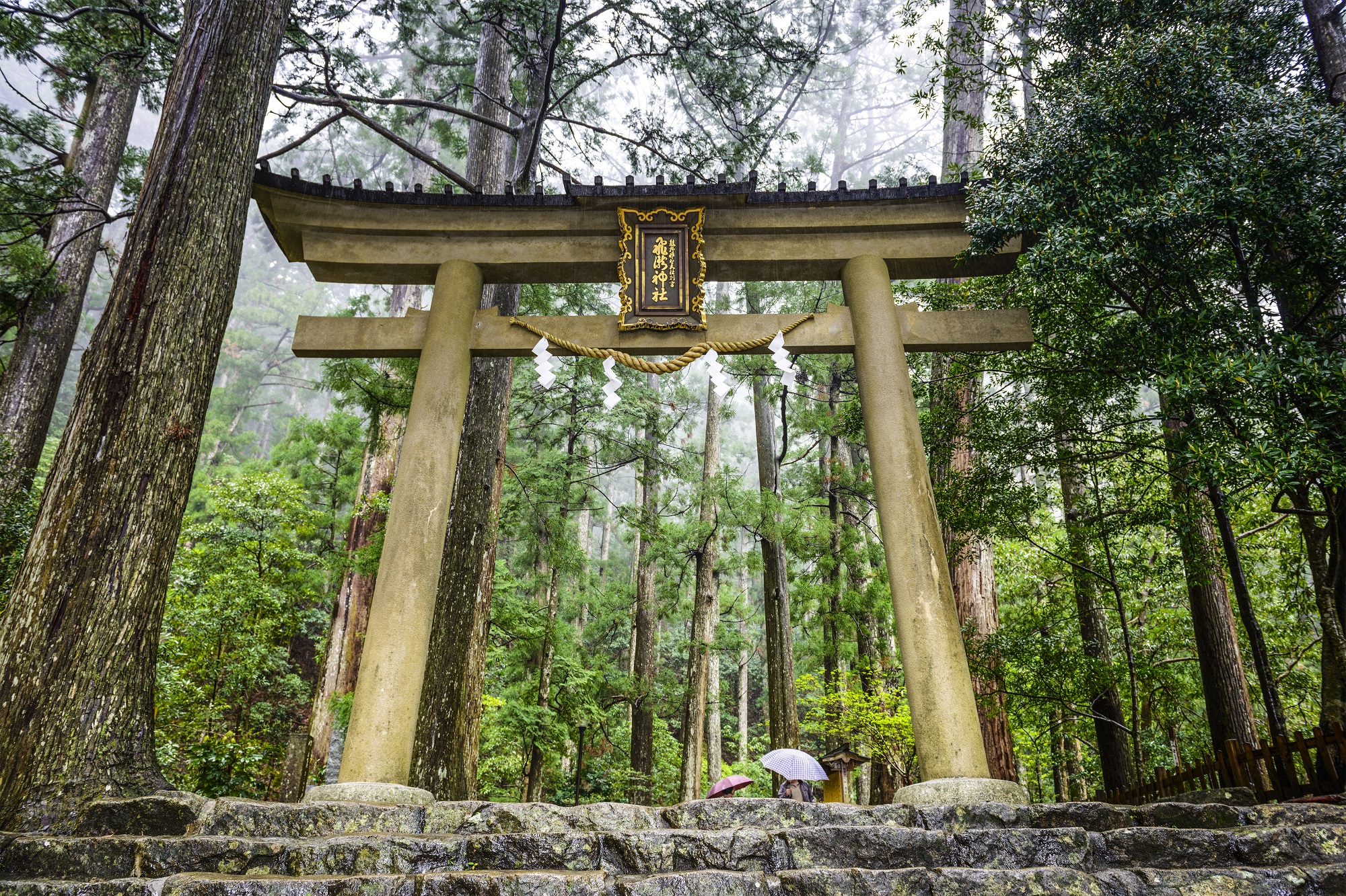 世界上最大鳥居、山壁下的瀑布神社...連日本天皇都朝聖33次的熊野古道